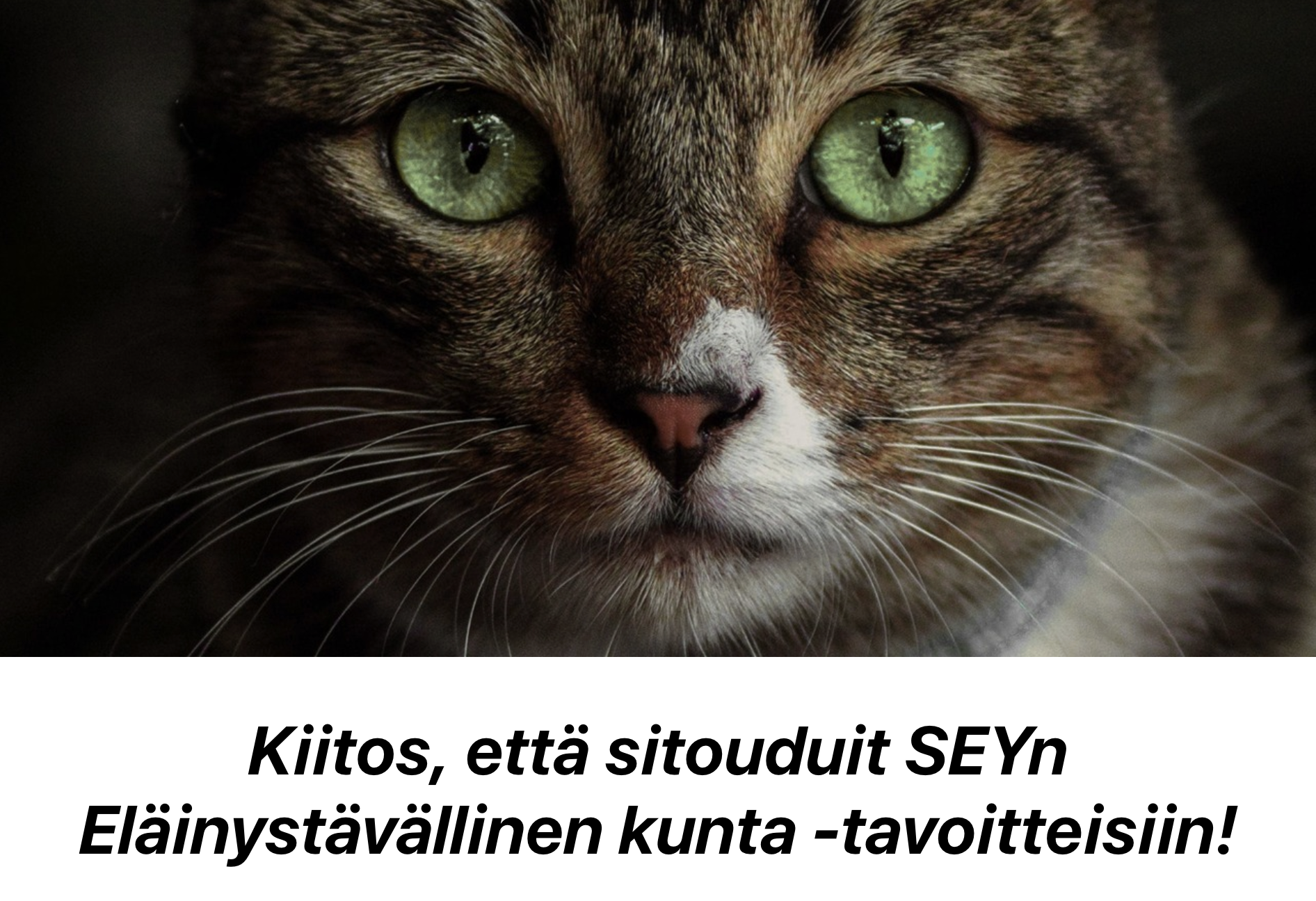 3. Eläinystävällinen kunta -sitoumus (SEY)